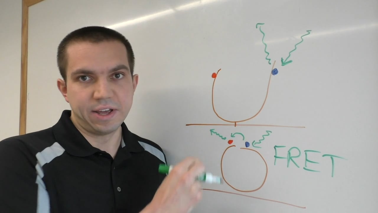 Harvard Medical School graduate student Thomas Graham explains the techniques he used to peer into how DNA double-strand breaks are repaired. Video: Stephanie Dutchen