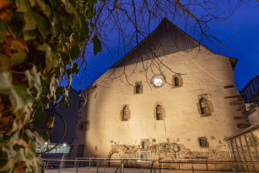 Photograph of a synagogue taken at night. A tree frames the left side. The facade of the building is lit from below. A rosette window is visible against the dark blue sky.