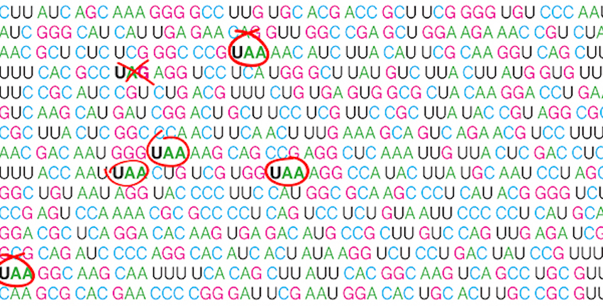 Proofreading Proteins