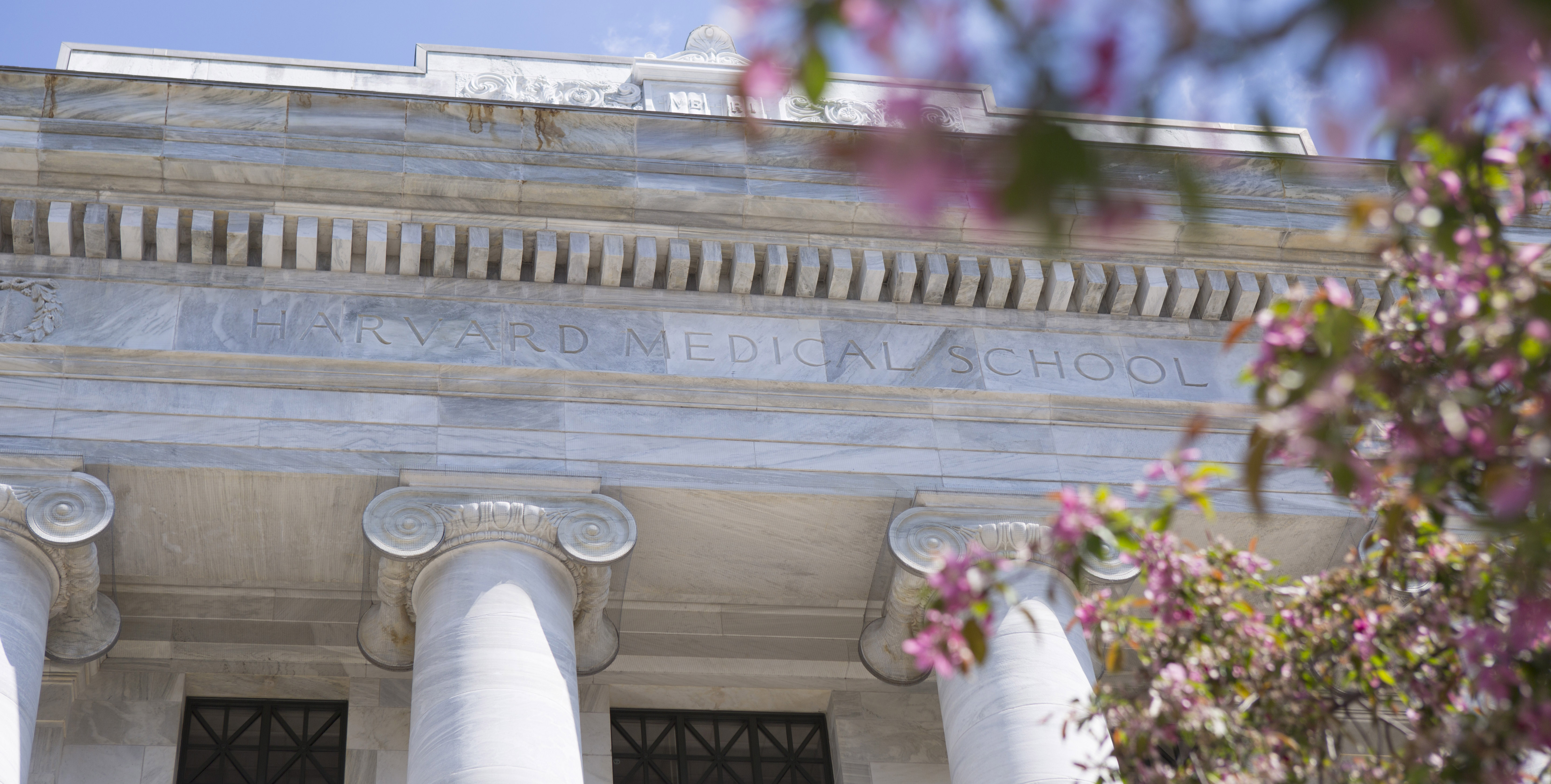 Harvard Medical School Gordon Hall. Image: John Soares