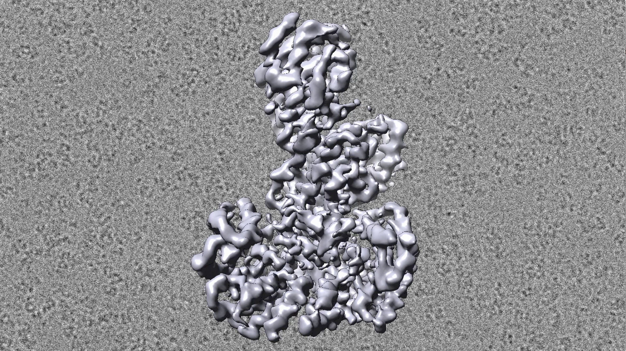 An illustration of B-Raf's structure rotates in front of a cryo-EM field of the proteins