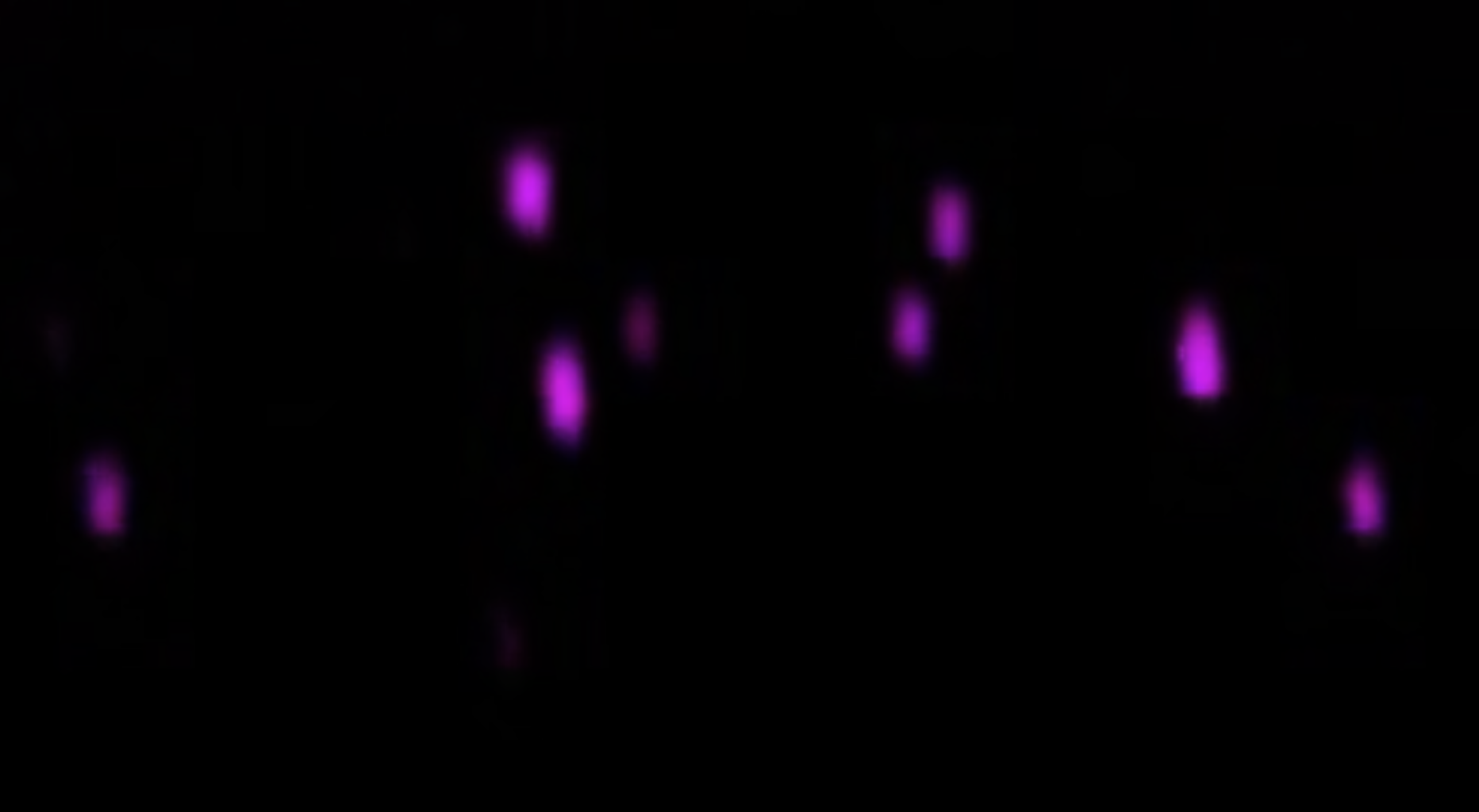 half a dozen blurry magenta dots against a black background