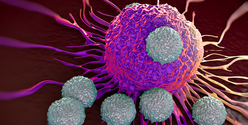Colorful digital illustration showing T cells attacking a cancer cell