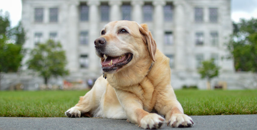 Warren on the Quad. Image: Samuel McCutcheon