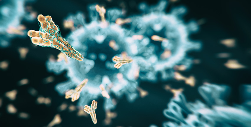 digital image of coronavirus with antibodies