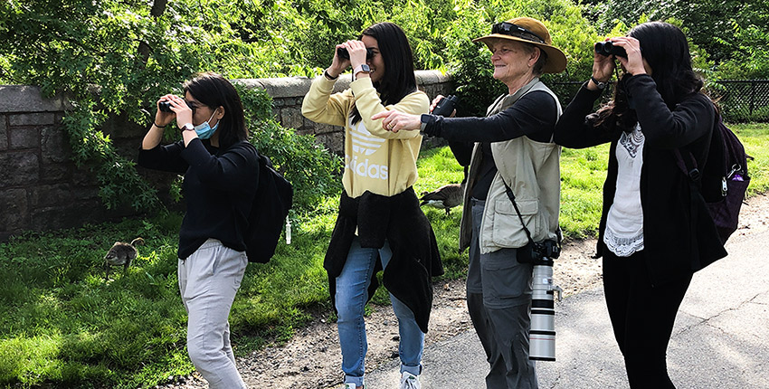 Four women in the park birding - one pointing, three looking through binoculars