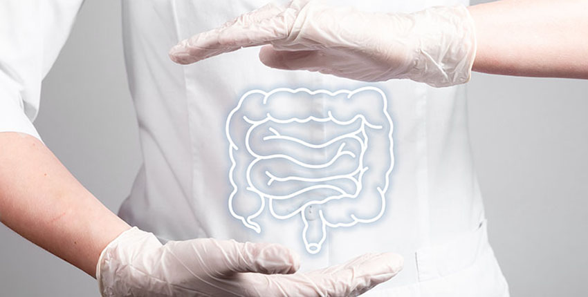 Closeup of a colon against a physicians' white coat and white gloves