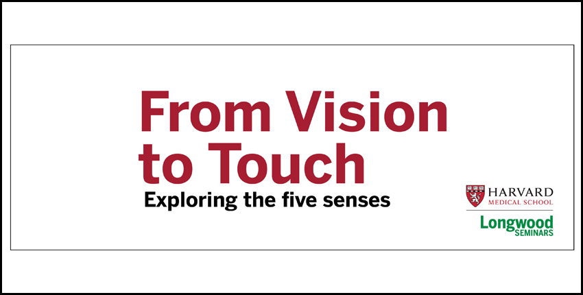 From Vision to Touch: Exploring the Five Senses