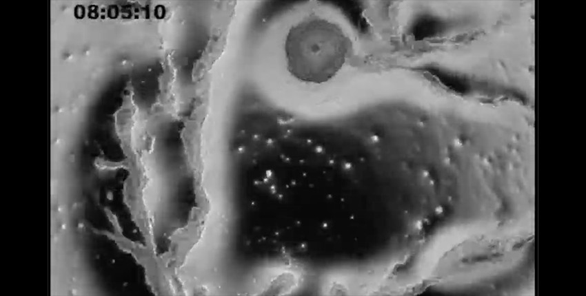 Black and white abstract-looking image from microscope of slime molds morphing