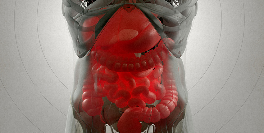 digital xray image of the gut