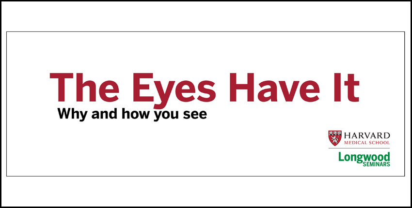 The Eyes Have It: Why and how you see