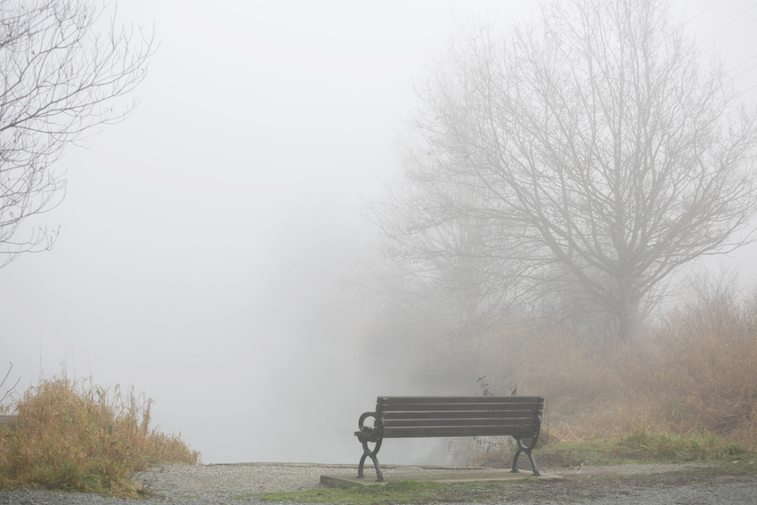 Empty bench in foggy park