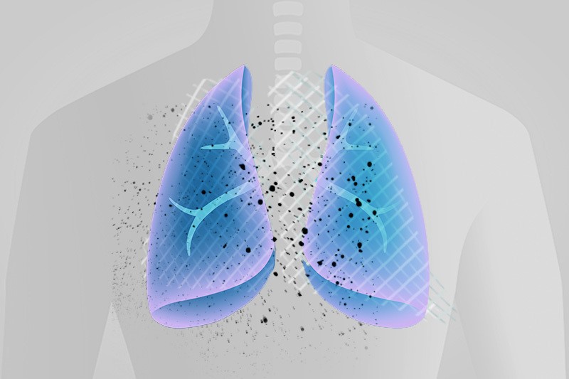 Illustration of a transparent person's torso with lungs outlined in blue and purple, and black dots scattered across the chest