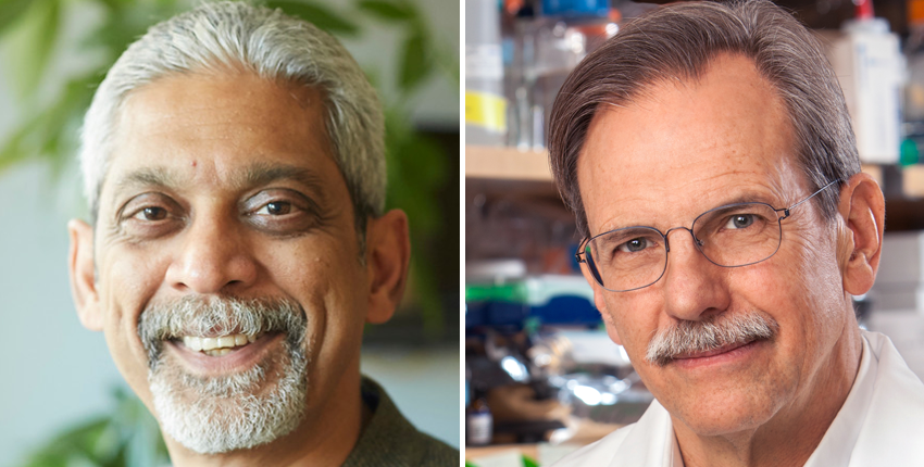 Image of Vikram Patel (left) and Tim Springer (right)