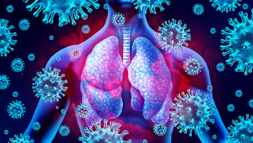 This demonstrates the epidemiological triad of disease.