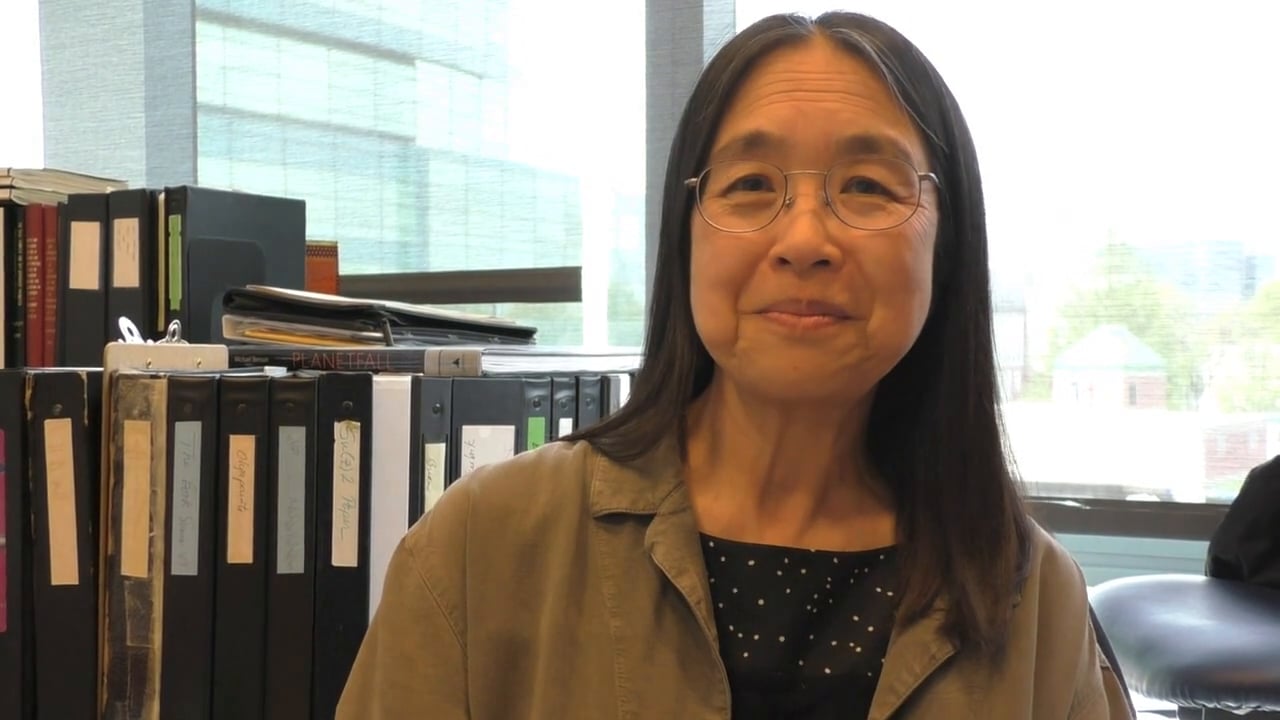 HMS professor of genetics Ting Wu explains why she’s excited about new chromosomal imaging techniques. Video: Stephanie Dutchen