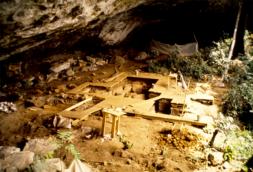 Archaeological excavation with boards set up over soil beneath a rock overhang