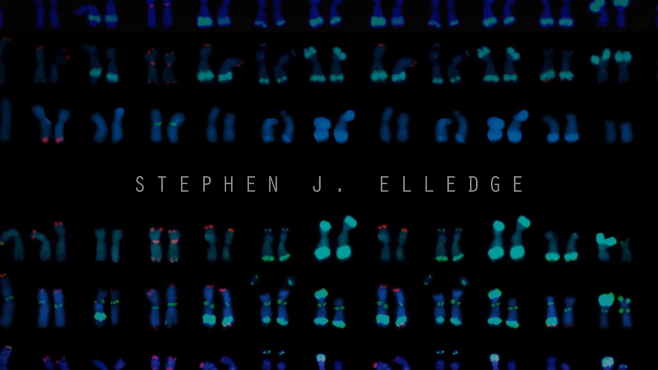 Stephen J. Elledge