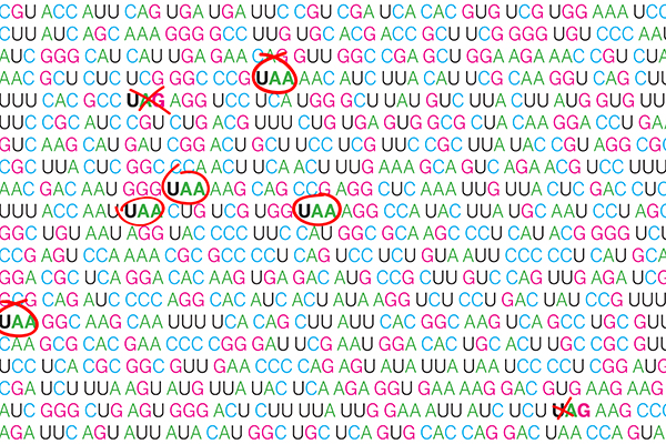 Proofreading Proteins