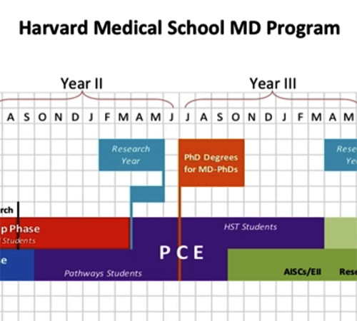 chart of Pathways curriculum