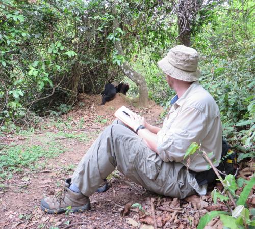 Robert O'Malley studies wild chimpanzees at Gombe National Park in Tanzania