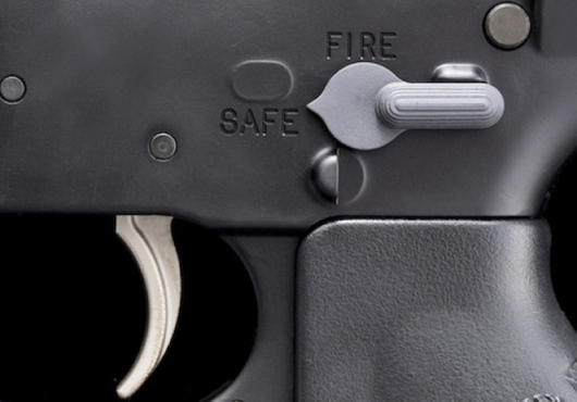 A Public Health Approach to Gun Violence