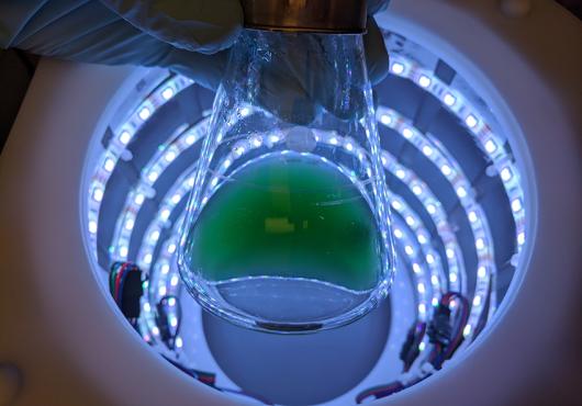 A flask of green liquid held by a gloved hand is silhouetted at the top of a cylinder with rings of lights
