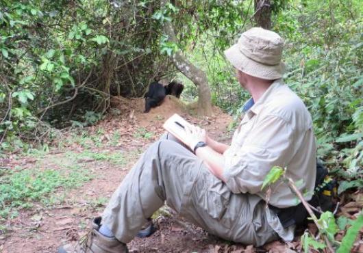 Robert O'Malley in the field observing chimpanzees