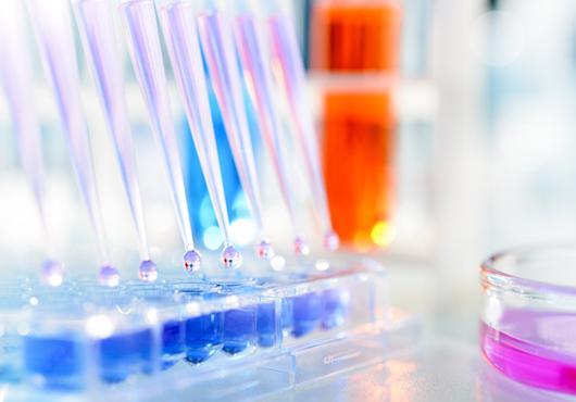 A close up of test tubes and droppers in a laboratory