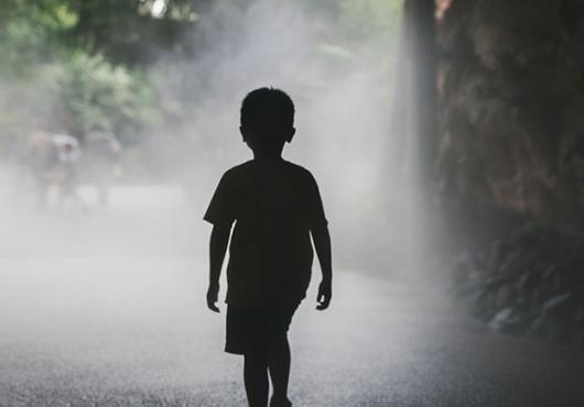 Silhouette of a young boy walking alone on a foggy, tree-lined path