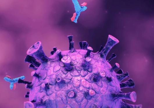 Computer generated image of a viral molecule 