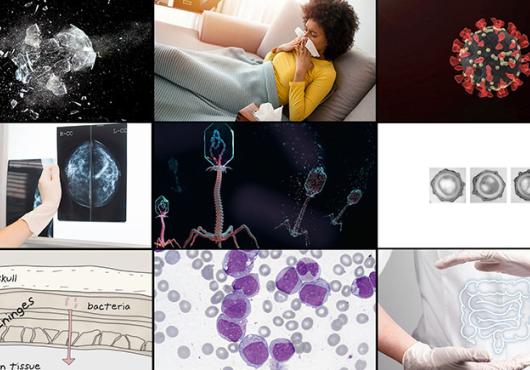 A grid of nine images, including breaking glass, a woman blowing her nose, a SARS-CoV-2 particle, illustration of phage viruses, microscopy images of bacterial spores, and an illustration of the meninges