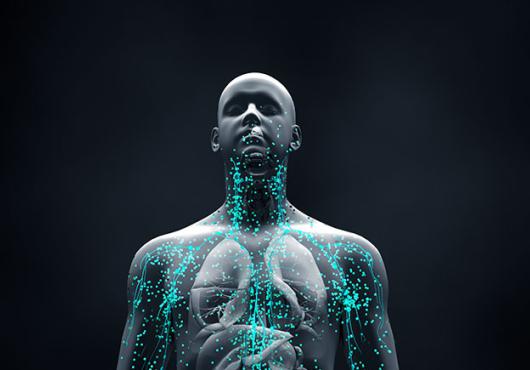 digital illustration of human body, with veins illuminated in teal