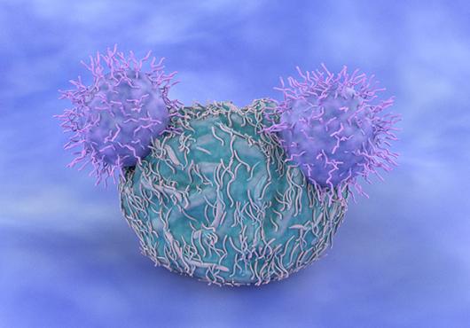 Computer generated image of two CAR-T cells targeting one cancer cell