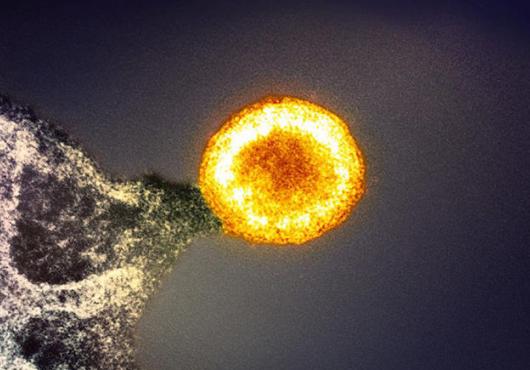 A bright circular virus particle shines in the center of an image against a dark background, with the edge of an infected cell seen in one corner.