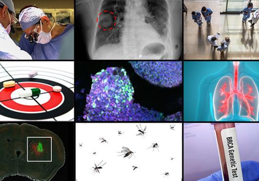 A grid of 9 images represents top HMS science articles from 2024. They show two surgeons at work; a spot circled on a lung X-ray; health care providers seen from above; a target with pills scattered across it; cells colored purple and aqua under a microscope; illustration of lungs; a mouse brain with a cluster of green cells; mosquitoes; and a vial of blood labeled “BRCA Genetic Test.”
