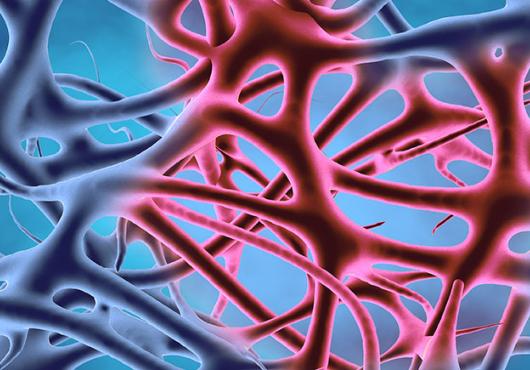 A close-up of inflamed tissue under a microscope