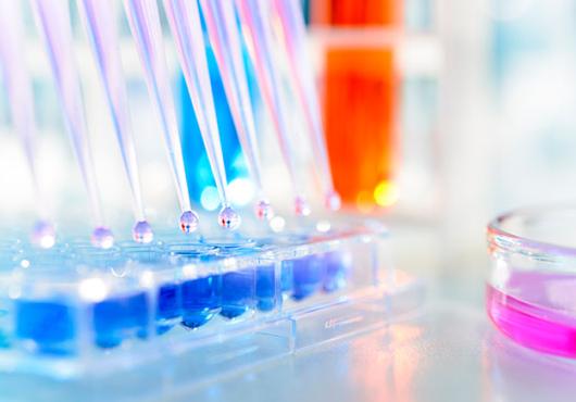 Glassware in a lab filled with liquids of various colors