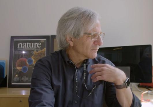 A man sitting at a computer