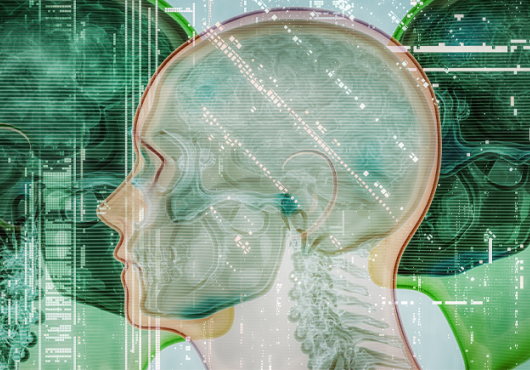 Three images of human brains/spinal cords superimposed onto a green motherboard.