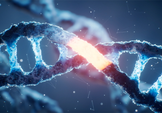 Blue helical DNA ladder with a glowing orange section