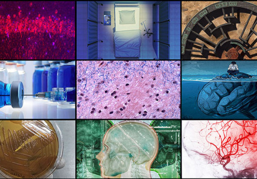 Grid of nine images featured in the news stories on this page