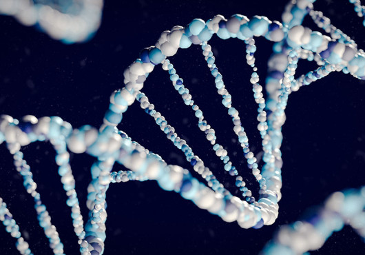 Rendering of DNA double helix structure in shades of blue and white