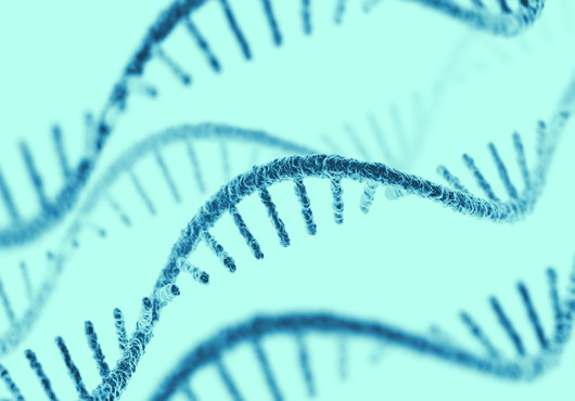 An abstract illustration shows twisting dark blue strands of RNA against a light turquoise background.