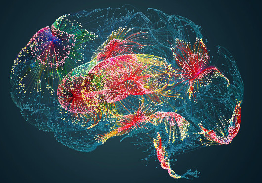 Illustration of a brain with different regions lit up in colorful dots.