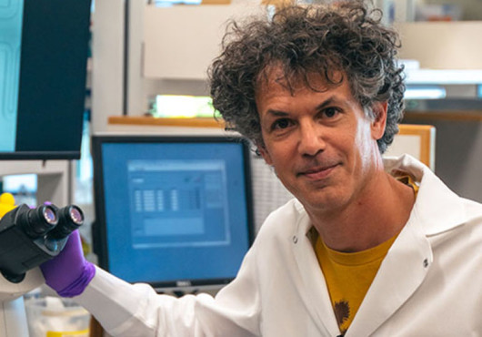 Portrait photo of Allon Klein in his lab.