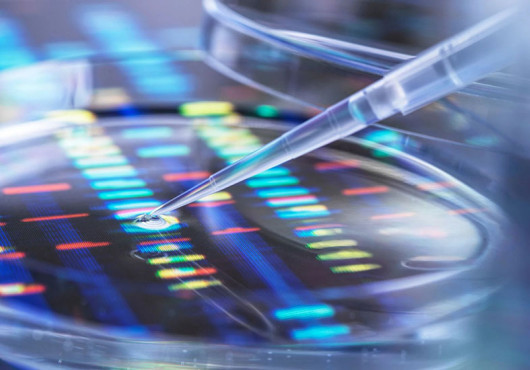 A pipette releases a drop of liquid into a lab dish sitting on a backlit display showing colorful DNA sequencing bands.