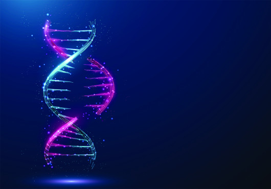 Illustration of a segment of a DNA double helix with one half in pink and the other in teal. The middle portion of the pink half is separated from the main molecule.