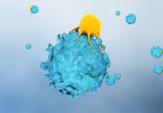 A spherical form in yellow is attached to a larger, blue spherical particle with rounded protrusions. Other similar particles float in the background.