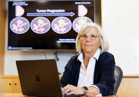 Joan Brugge sits at a desk with a laptop computer in front of a monitor showing a diagram labeled “Tumor Progression.”